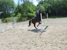 img_3546_web